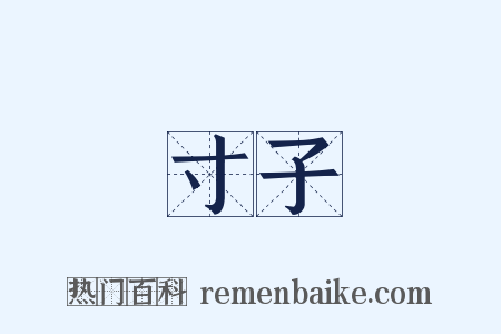 寸子是什么意思的图片